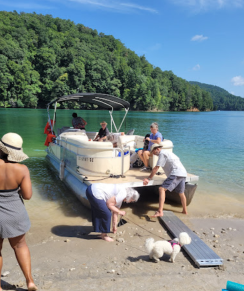 A group of people on a boat at the shore, with one person helping another and a small dog nearby. Lush green hills in the background.