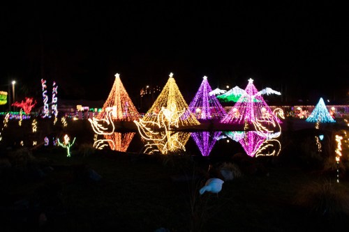 Colorful Christmas trees illuminated with lights reflect in a dark pond, creating a festive holiday scene.