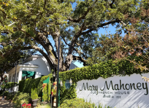 Sign for Mary Mahoney's Old French House, surrounded by lush greenery and a large tree under a clear blue sky.