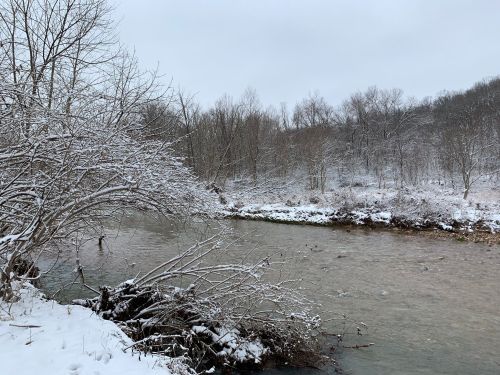 A snowy landscape with a river flowing through, surrounded by bare trees and a serene, overcast sky.