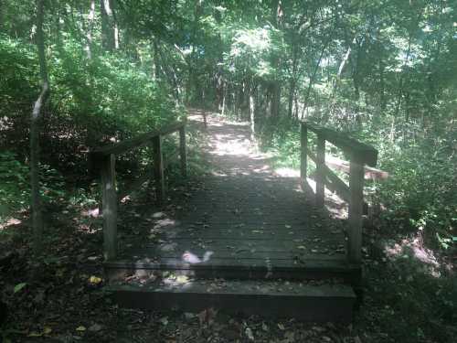 A wooden bridge over a path surrounded by lush green trees in a forested area.