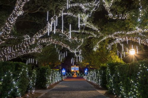 A beautifully lit pathway with hanging lights and illuminated decorations among lush greenery at night.