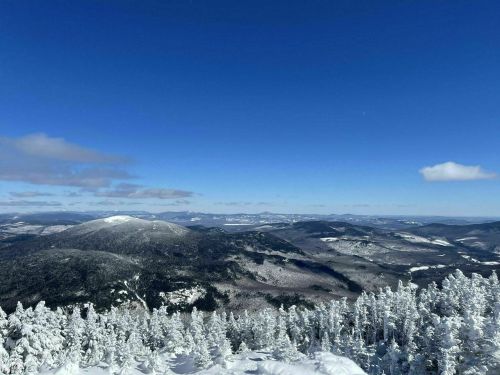 A panoramic view of snow-covered mountains under a clear blue sky, with trees frosted in white.