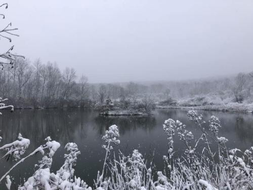 A serene winter scene of a snowy landscape reflecting in a calm lake, surrounded by bare trees and frosted plants.