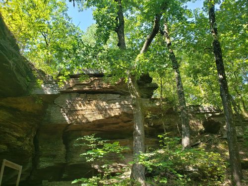 Lush green trees and foliage surround a rocky cliff in a sunlit forest setting.