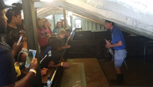 A group of people watches a presenter in a barn, holding an alligator while standing in shallow water.