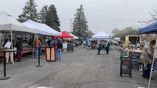 A bustling outdoor market with vendors under tents, shoppers browsing, and trees in the background on a cloudy day.