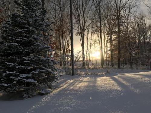 A snowy landscape with trees and a setting sun casting long shadows on the ground.