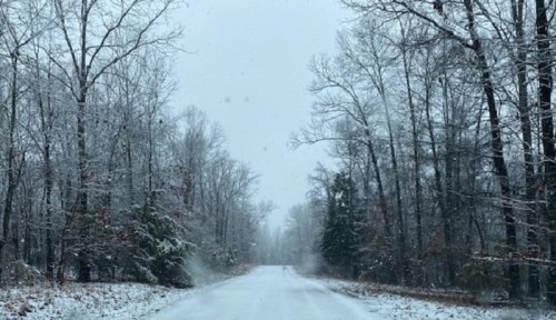 A snowy road surrounded by bare trees, creating a serene winter landscape. Snowflakes gently fall from a gray sky.