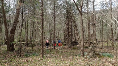 Three hikers explore a wooded area with bare trees and scattered rocks, surrounded by fallen leaves and greenery.