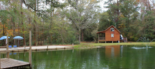 A serene pond surrounded by trees, with a wooden dock, blue umbrellas, and a rustic cabin in the background.