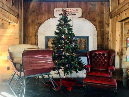 A cozy holiday scene featuring a decorated Christmas tree, a vintage sleigh, and a red armchair in a rustic wooden setting.