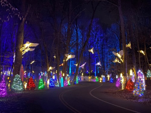 A winding road through a forest illuminated by colorful holiday lights and decorations, including trees and angels.