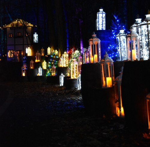 A nighttime scene with illuminated lanterns and trees, creating a magical atmosphere in a dark forest.