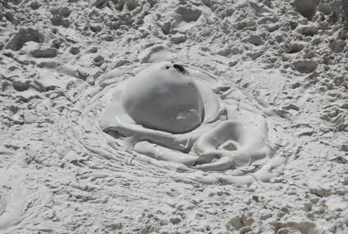 A mound of white foam on a sandy surface, resembling a small, rounded shape in a textured, wet environment.