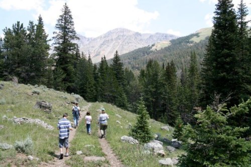 A group of hikers walking on a trail through a lush green forest with mountains in the background.