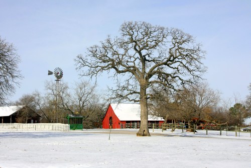 A snowy landscape featuring a large tree, a red barn, and a windmill against a clear sky.