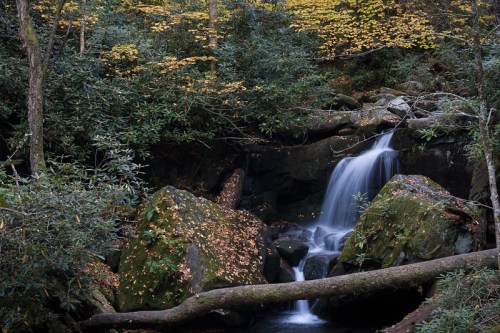 A serene waterfall cascades over rocks, surrounded by lush greenery and autumn leaves.