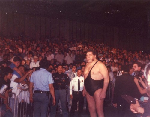 A large wrestler stands in the ring, surrounded by a cheering crowd and security personnel.