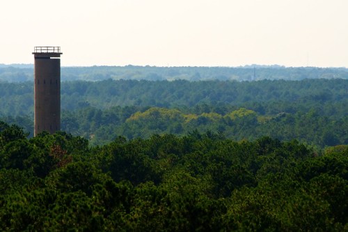 A tall, cylindrical tower stands amidst a dense forest of green trees under a hazy sky.