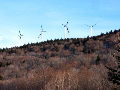 Four wind turbines stand on a hillside, surrounded by bare trees under a clear blue sky.