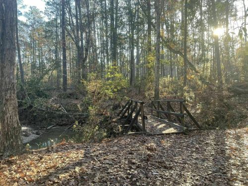 A wooden bridge crosses a small creek in a sunlit forest, surrounded by trees and fallen leaves.