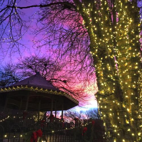 A vibrant sunset with purple and pink hues behind a tree wrapped in glowing lights near a gazebo.