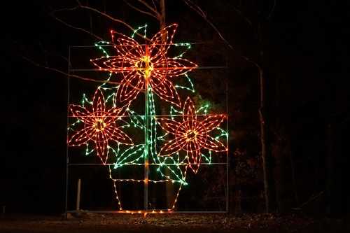 Colorful holiday lights shaped like three flowers in a pot, glowing against a dark night background.