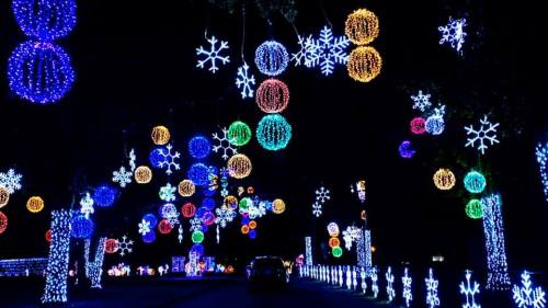 Colorful holiday lights in various shapes and sizes illuminate a dark night, creating a festive atmosphere.