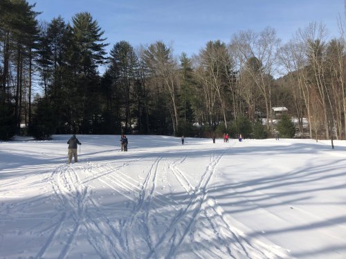 People skiing and walking on a snowy landscape surrounded by trees under a clear blue sky.