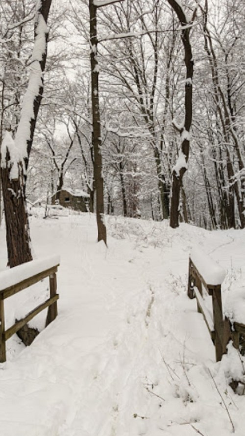 A snowy path through a forest, with bare trees and a small cabin visible in the background.