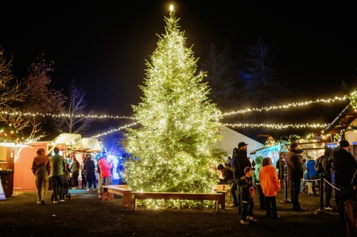 A festive night scene featuring a brightly lit Christmas tree surrounded by people and holiday stalls.