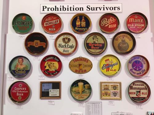 A display of vintage beer trays labeled "Prohibition Survivors," featuring various beer brands and designs.