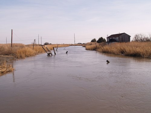 A calm river flows through tall grasses, with a weathered building in the background and utility poles lining the banks.