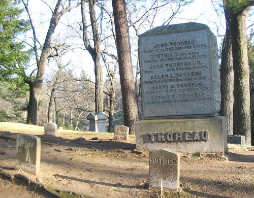 Gravestones in a wooded cemetery, featuring the prominent stone of John Thoreau and smaller markers for family members.