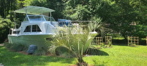 A white boat parked on a grassy area surrounded by trees and plants, with a clear blue sky above.