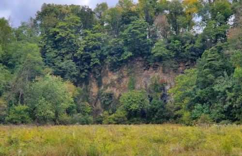 A lush green landscape with a rocky cliff and trees in the background, set against a cloudy sky.