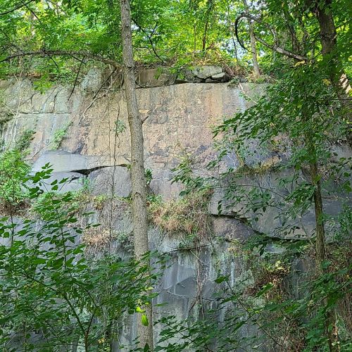 A rocky cliff surrounded by lush green trees and foliage in a natural setting.