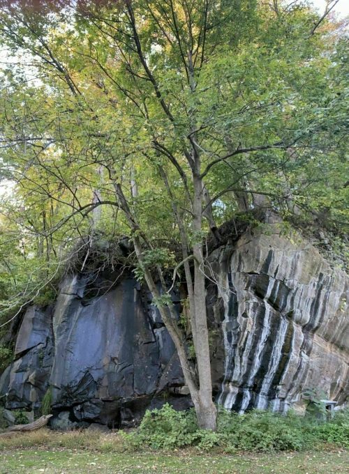 A large rock formation partially covered by trees and greenery, set in a natural landscape.