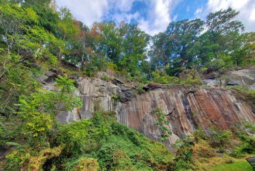 A rocky cliffside covered in greenery, with trees above and a partly cloudy sky in the background.