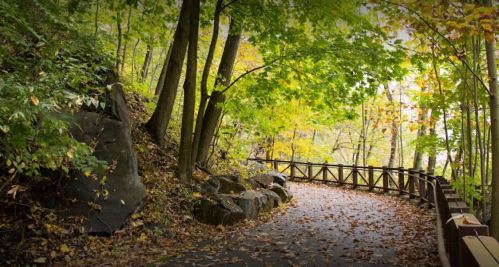 A winding path through a forest with trees and colorful autumn leaves, bordered by a wooden railing.