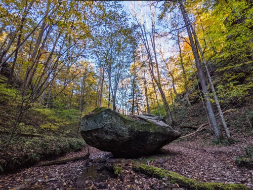 A large boulder sits in a forested area with colorful autumn leaves and tall trees under a clear blue sky.
