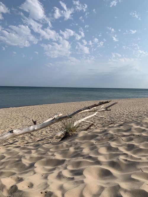 A serene beach scene with soft sand, a driftwood log, and calm blue waters under a partly cloudy sky.