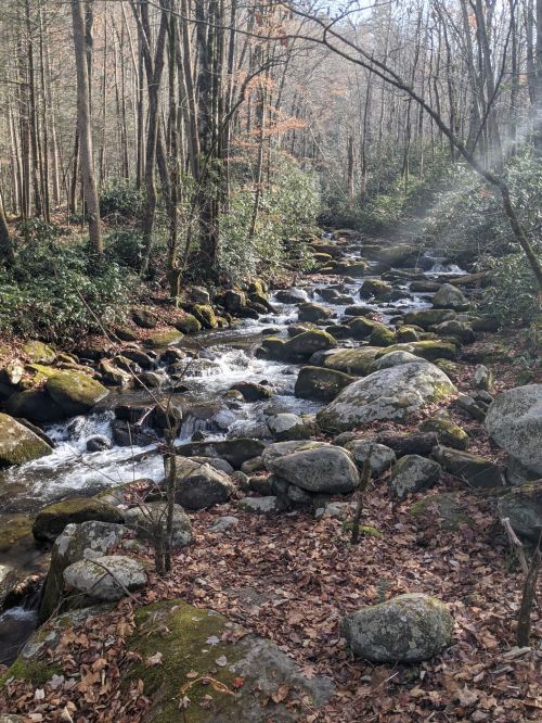 A serene stream flows over rocks in a wooded area, surrounded by trees and autumn leaves.