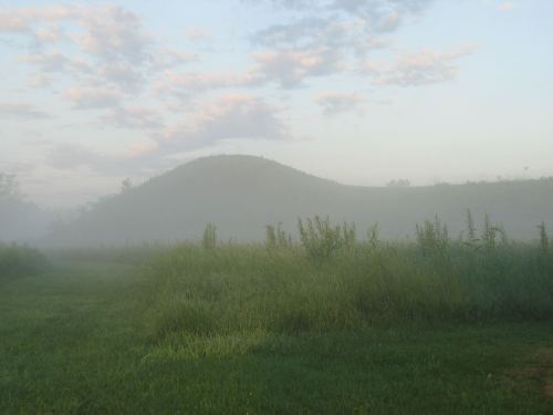 A misty landscape with a grassy field and a low hill in the background under a cloudy sky.