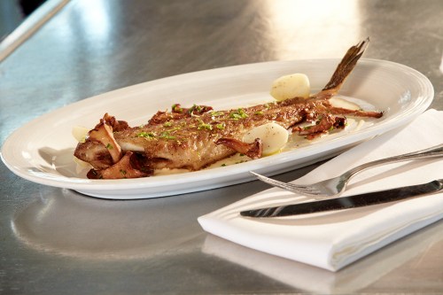 A beautifully plated fish dish garnished with herbs, accompanied by mushrooms and small potatoes on a white oval plate.