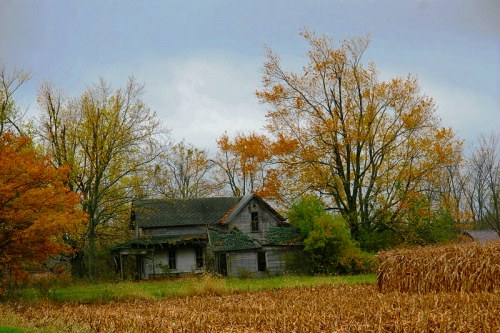 An old, abandoned house surrounded by autumn trees and a field of dried corn under a cloudy sky.