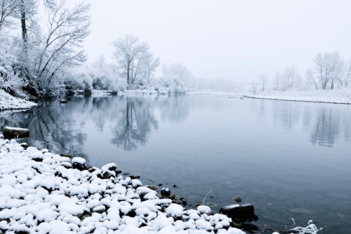 A serene winter landscape with a snowy riverbank and trees, reflecting in the calm, icy water.