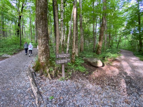Two people walk along a forest trail with a sign indicating paths for Rainbow Falls Trail and Old Sugarlands Trail.