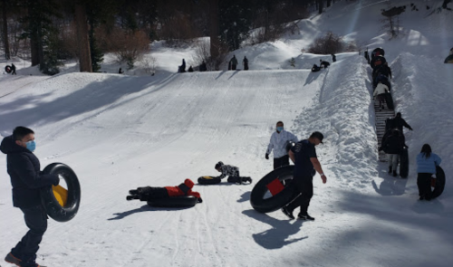 People enjoying a snowy hill, some tubing down while others carry inflatable tubes up the slope.